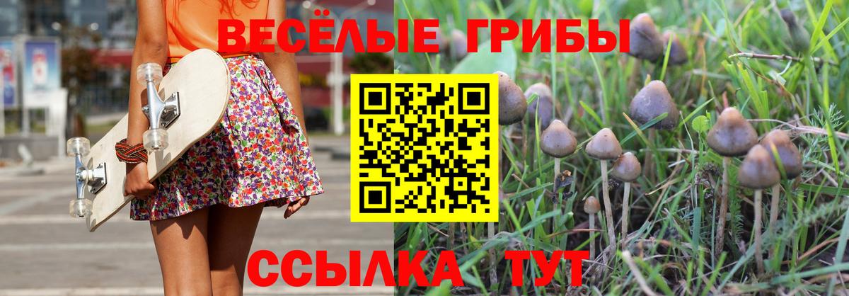 что такое наркотик  Галлюциногенные грибы прущие грибы  Вход с VPN  Вязьма 